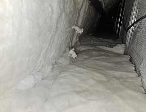 Zateplení stropu rodinného domu pomocí foukané izolace